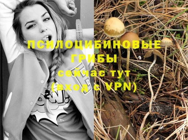 MDMA Алексин