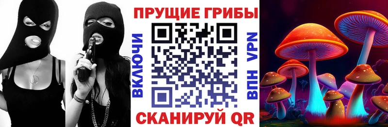 купить закладку  МЕГА сайт  Псилоцибиновые грибы Psilocybe  Сарапул 