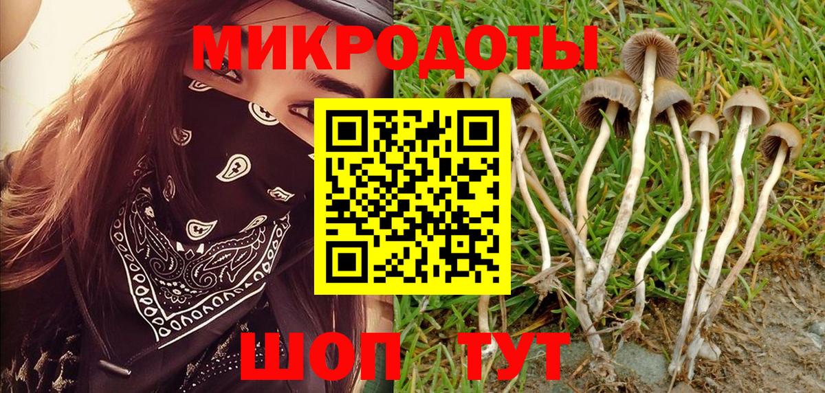 Галлюциногенные грибы Psilocybe Сарапул